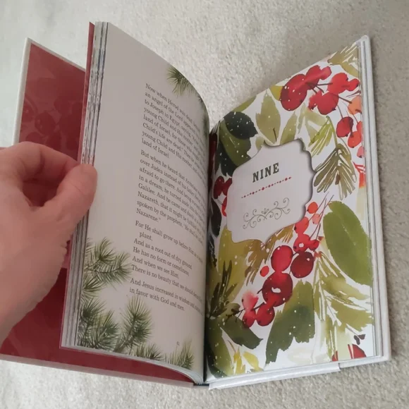 Book: Good Tidings of Great Joy - Picture 3 of 5